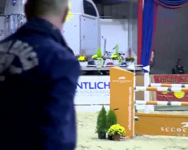 Reitturnier Vechta 2013