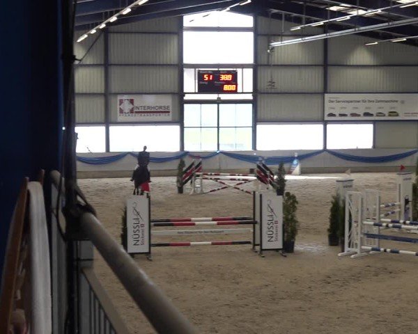 Reitturnier Buchs 2025
