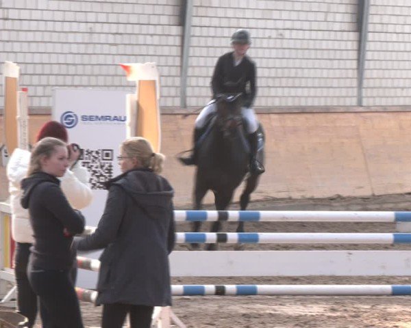 Reitturnier Vorsfelde 2025
