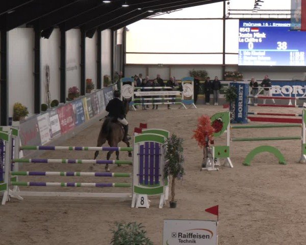 Reitturnier Borken (Hessen) 2025