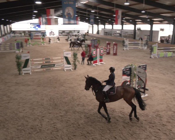 Reitturnier Borken (Hessen) 2025