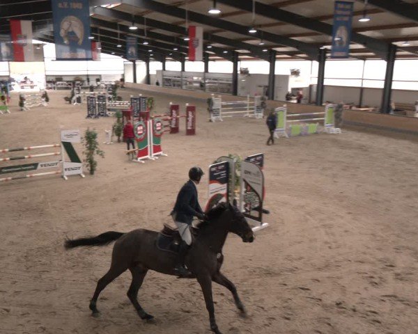Reitturnier Borken (Hessen) 2025