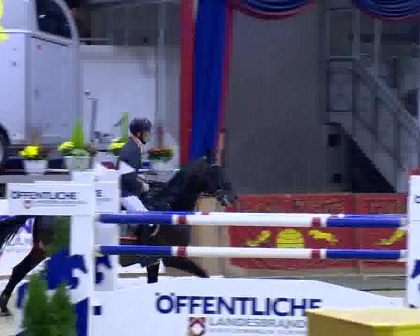 11. Hallen-Championat Vechta 2013