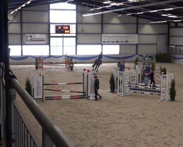 Reitturnier Buchs 2025