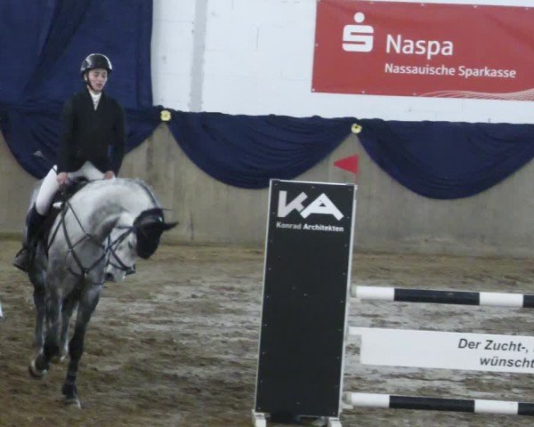 Reitturnier Diez 2025