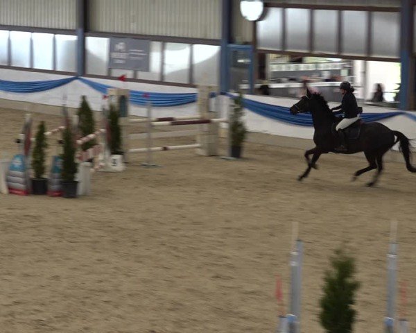 Reitturnier Buchs 2025