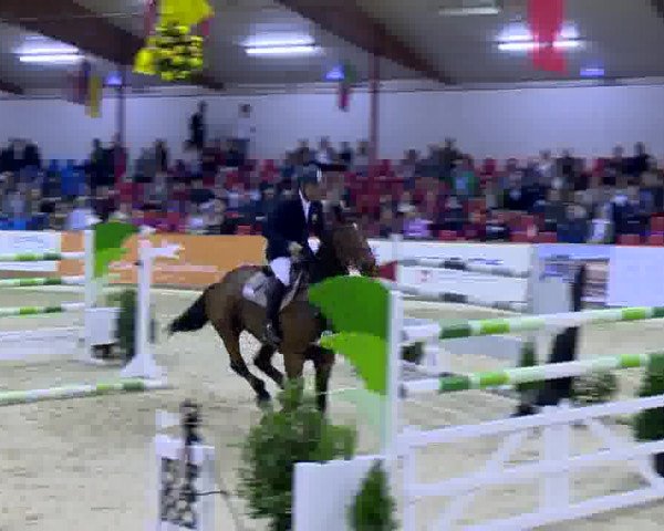11. Hallen-Championat Vechta 2013