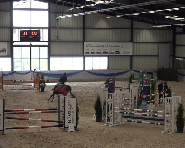 Reitturnier Buchs 2025