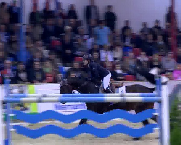 11. Hallen-Championat Vechta 2013