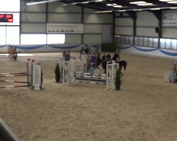 Reitturnier Buchs 2025