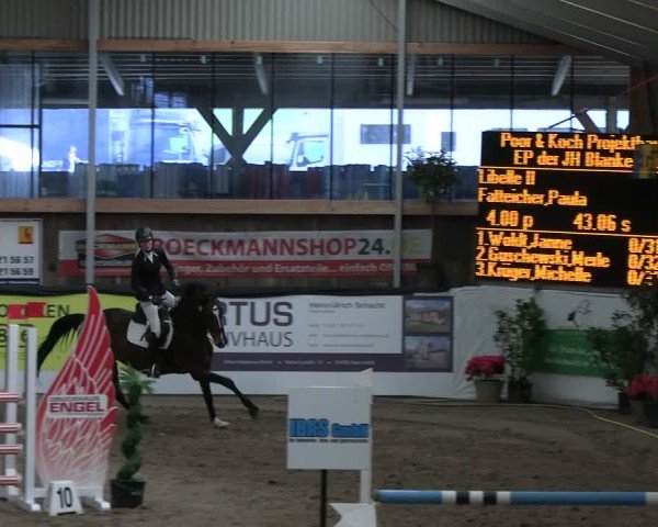 Reitturnier Timmendorf 2025