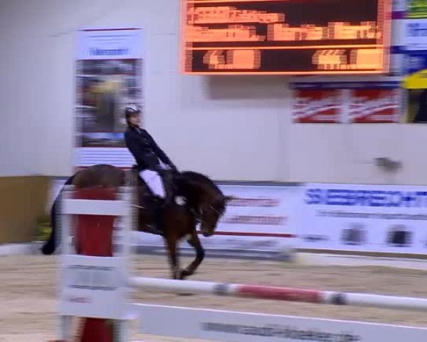 11. Hallen-Championat Vechta 2013