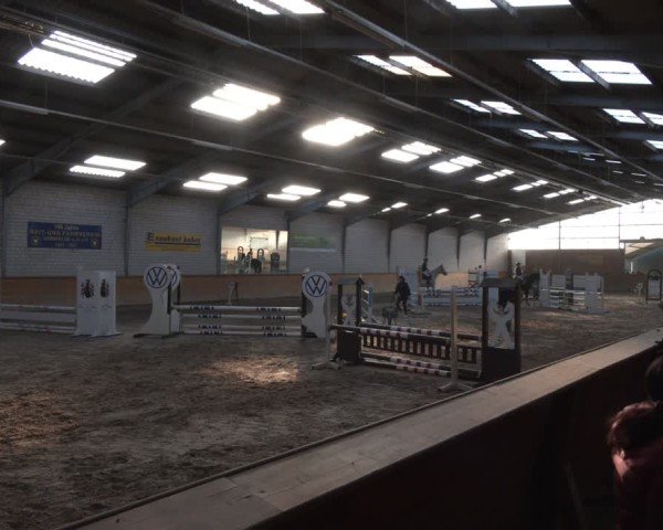 Reitturnier Vorsfelde 2025