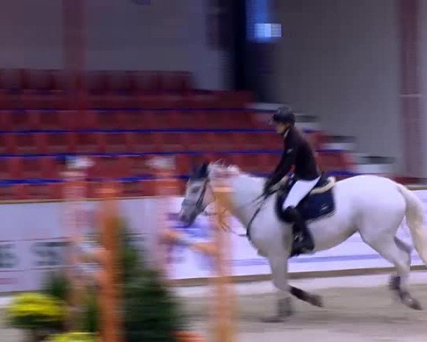 11. Hallen-Championat Vechta 2013