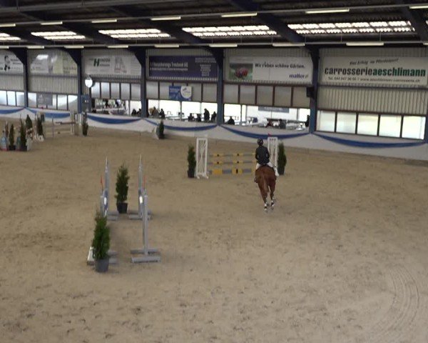 Reitturnier Buchs 2025