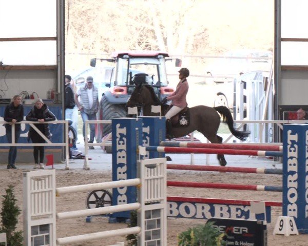 Reitturnier Borken (Hessen) 2025