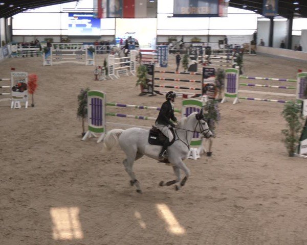 Reitturnier Borken (Hessen) 2025
