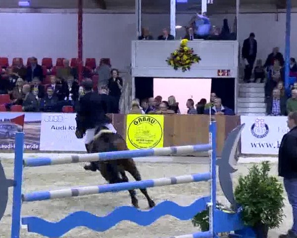 11. Hallen-Championat Vechta 2013
