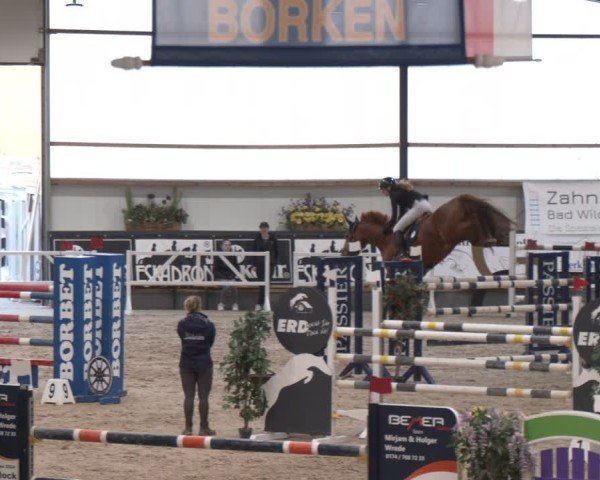 Reitturnier Borken (Hessen) 2025