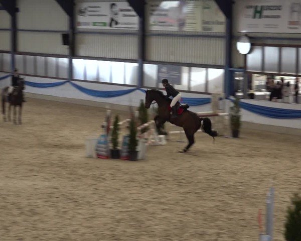 Reitturnier Buchs 2025
