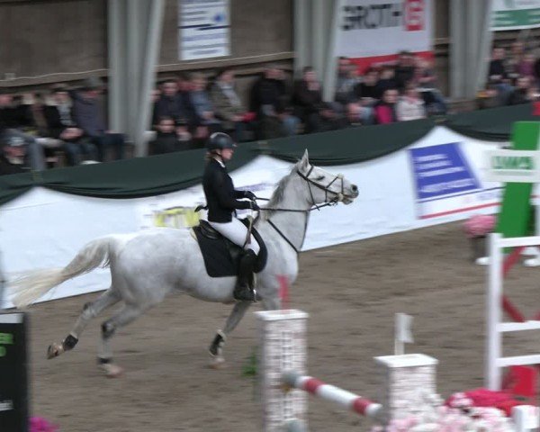 Reitturnier Timmendorf 2025