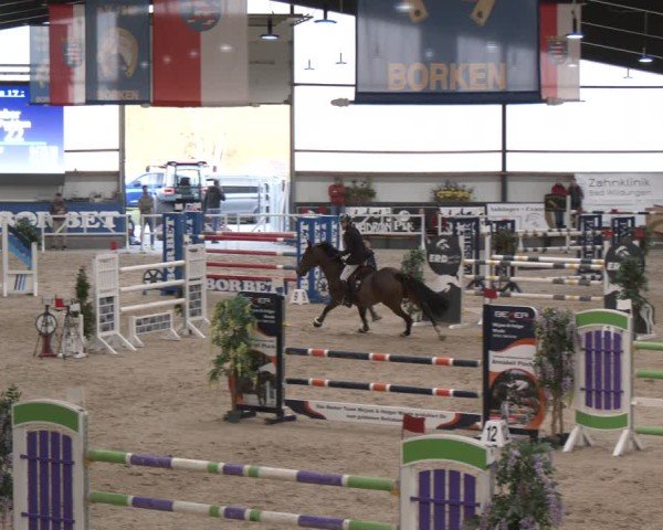 Reitturnier Borken (Hessen) 2025