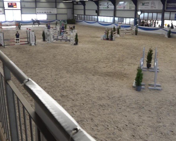 Reitturnier Buchs 2025