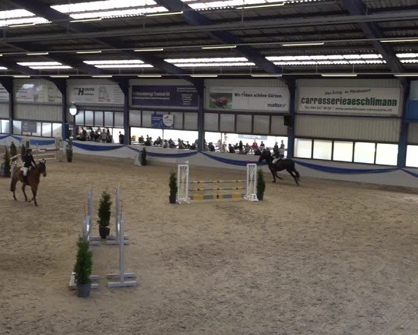 Reitturnier Buchs 2025