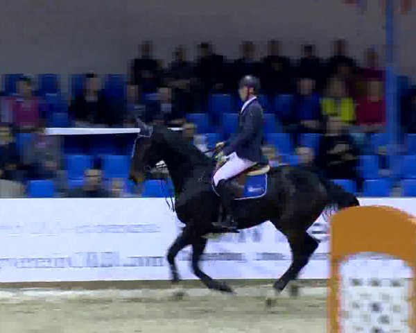 11. Hallen-Championat Vechta 2013