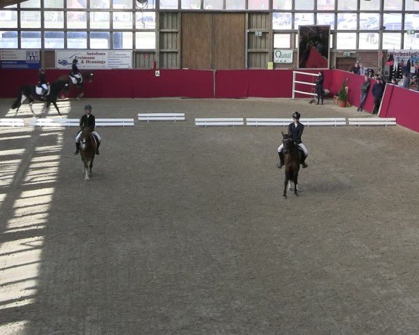 Reitturnier Krumke 2025