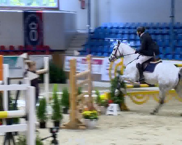 Reitturnier Vechta 2013