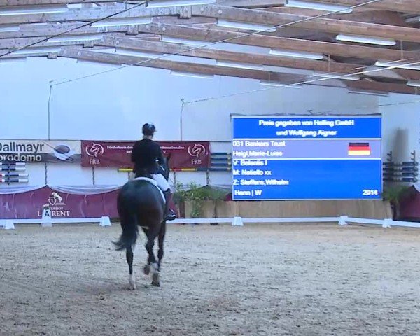 Reitturnier Eicherloh 2025