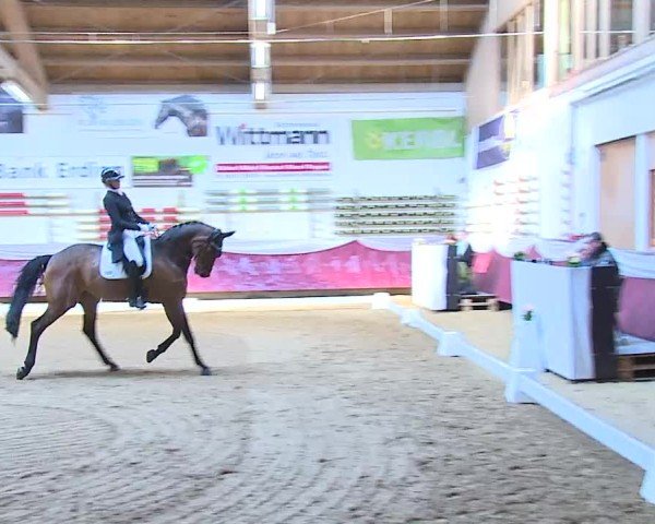 Reitturnier Eicherloh 2025