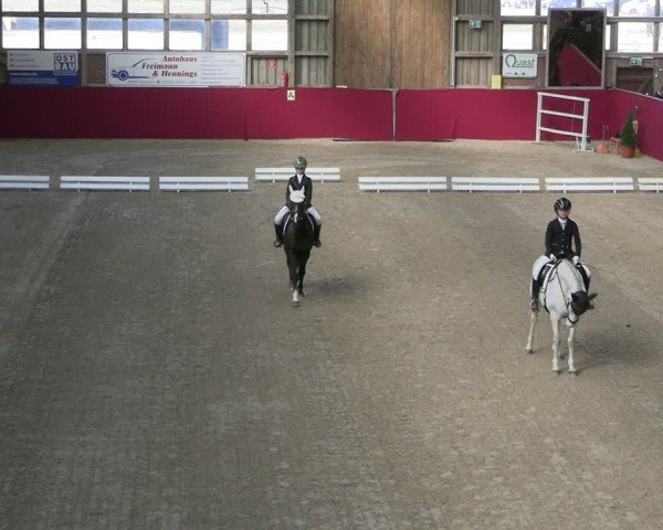 Reitturnier Krumke 2025