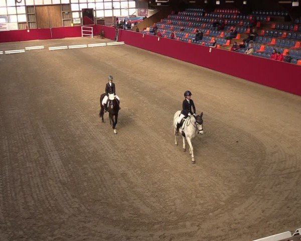 Reitturnier Krumke 2025