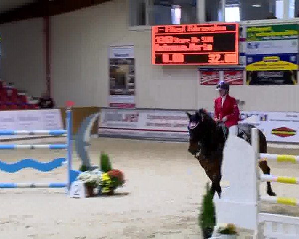 11. Hallen-Championat Vechta 2013