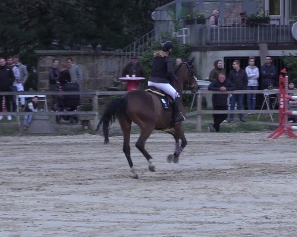 Reitturnier Hildesheim-Steuerwald 2025