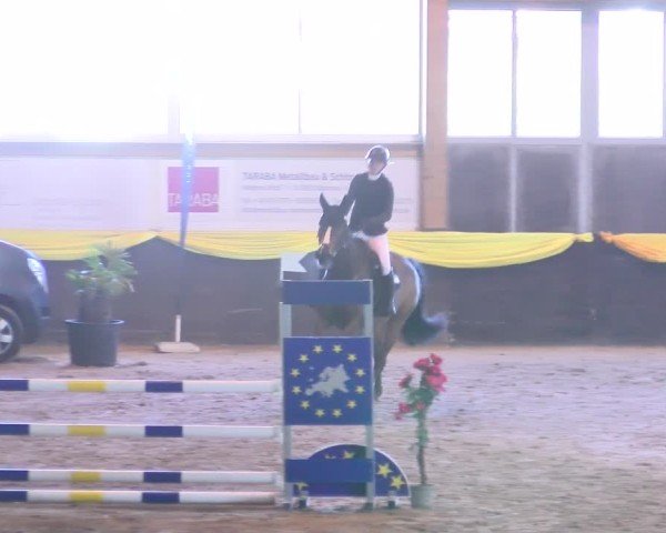 Reitturnier Sauldorf 2025