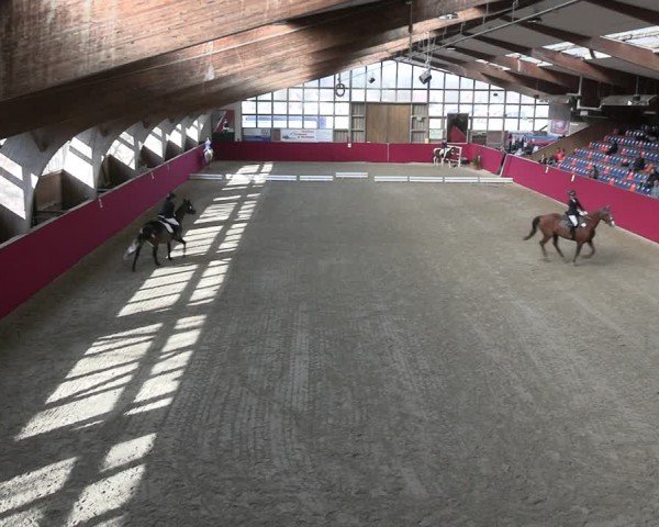 Reitturnier Krumke 2025