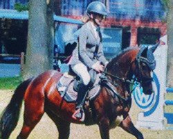 jumper Tip Top Tatsu (German Riding Pony, 2016, from Top Berlin)