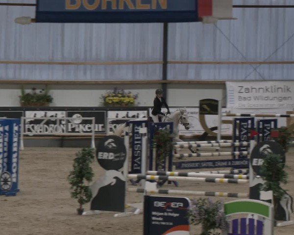 Reitturnier Borken (Hessen) 2025