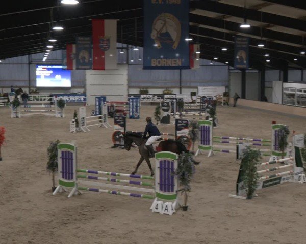 Reitturnier Borken (Hessen) 2025