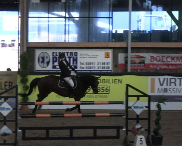Reitturnier Timmendorf 2025