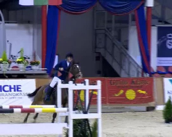 11. Hallen-Championat Vechta 2013
