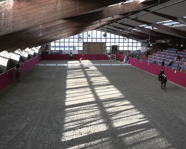 Reitturnier Krumke 2025