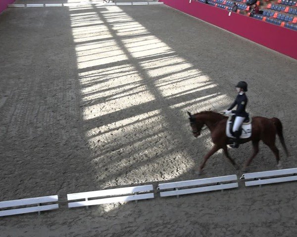 Reitturnier Krumke 2025