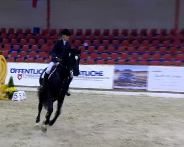 11. Hallen-Championat Vechta 2013