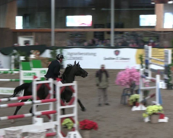 Reitturnier Timmendorf 2025