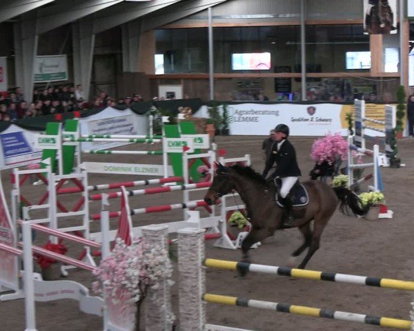 Reitturnier Timmendorf 2025