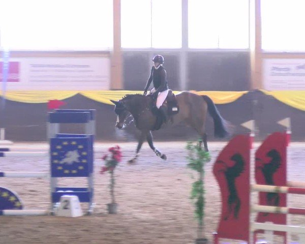 Reitturnier Sauldorf 2025